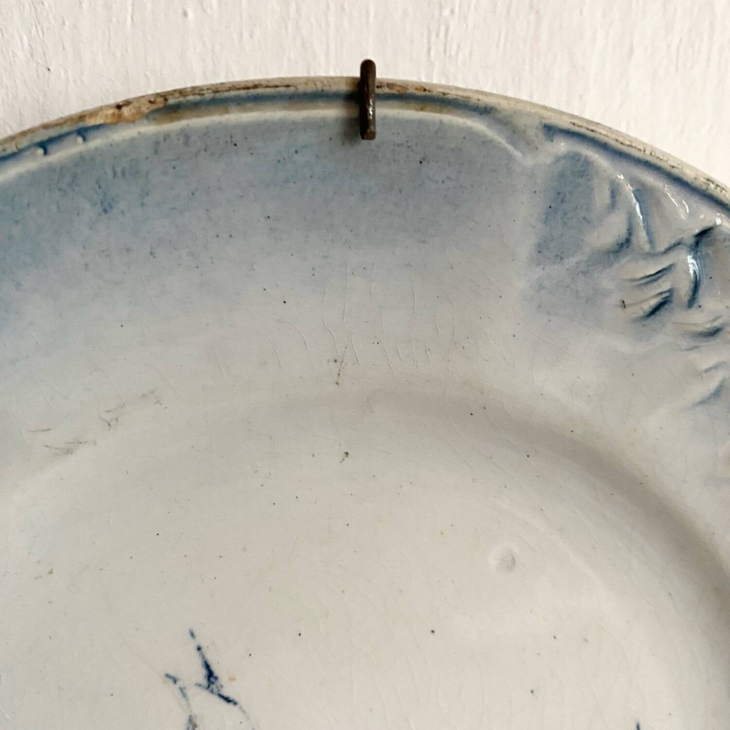Orchid plate "Marine"