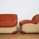 Set de 2 fauteuils cygne, 1970s
