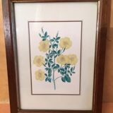 3 petits tableaux, avec les fleurs à l’honneur