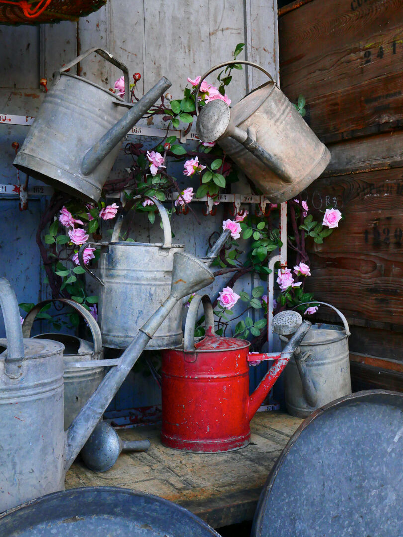 Zinc watering can