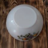 Salad bowl Arcopal Fruits of France