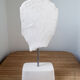 Androgynous head in plaster