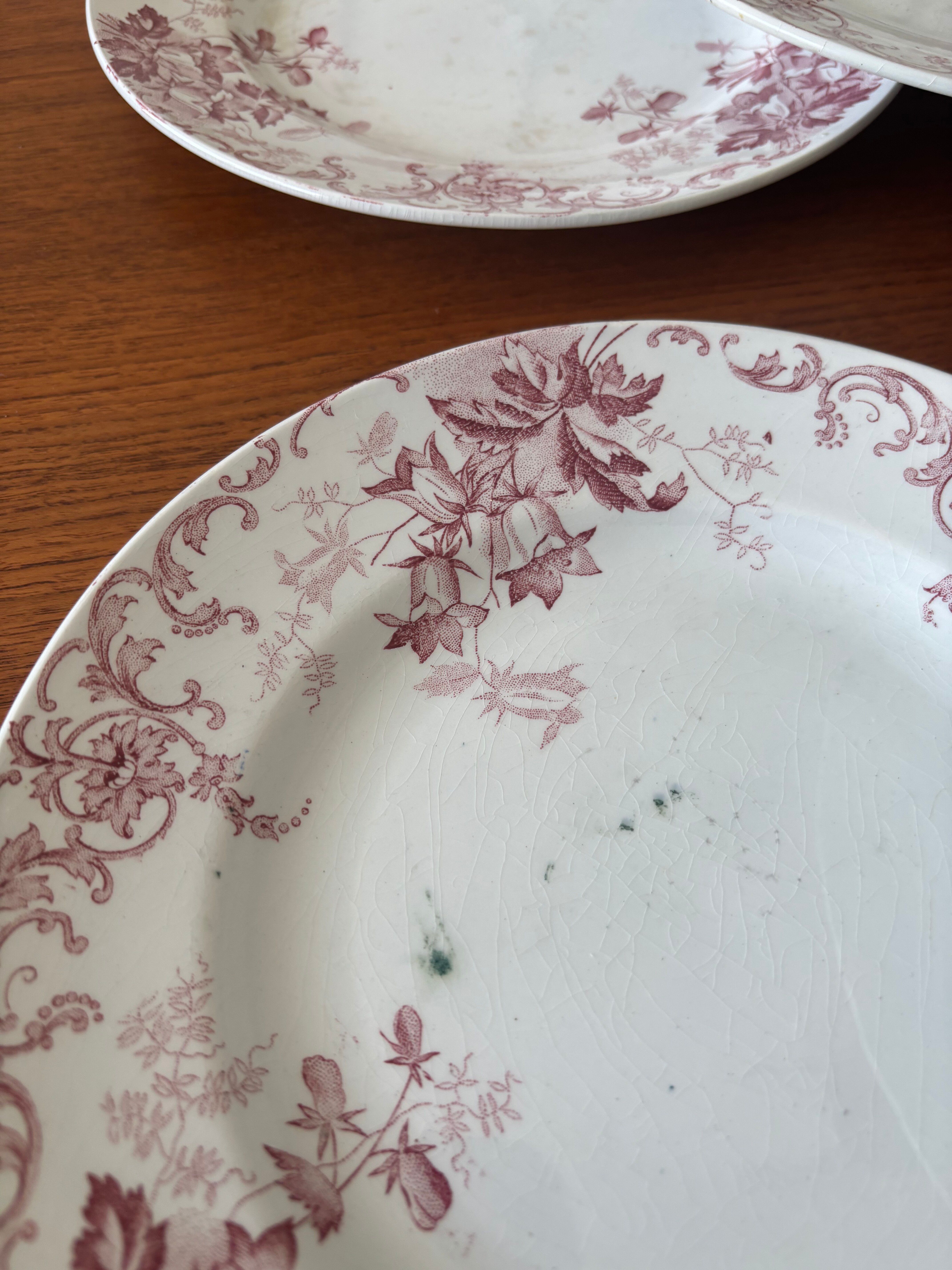 Set of 6 antique red Terre de Fer plates St Amand Hamage model