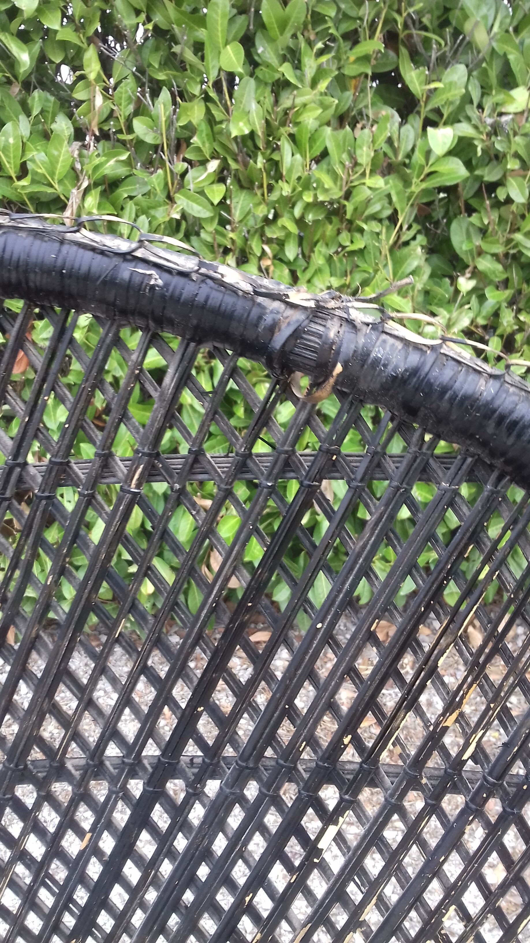 Armchair emmanuel in vintage wicker