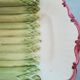 Sarreguemines asparagus dish