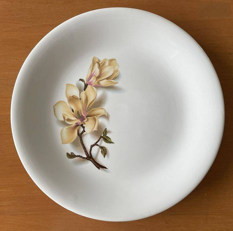 6 antique flat plates in Saint-Amand earthenware (Nord)