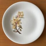 6 antique flat plates in Saint-Amand earthenware (Nord)