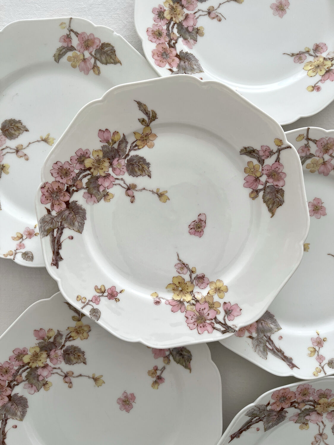 6 antique dessert plates in Limoges porcelain by Haviland & Co.