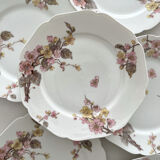 6 antique dessert plates in Limoges porcelain by Haviland & Co.