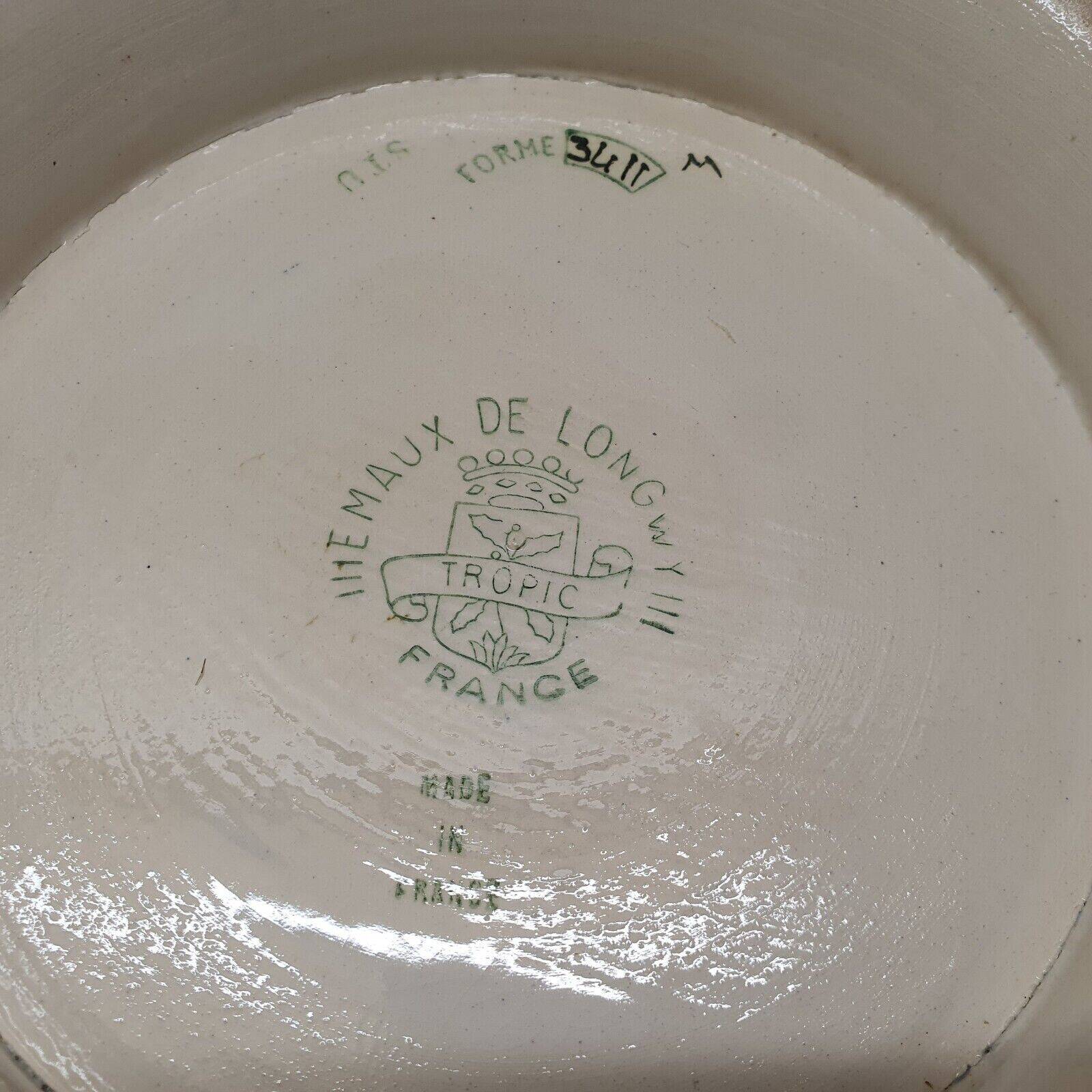 Large Longwy Emaux Dish Model Tropic D35 CM To Hang Or Other Decoration