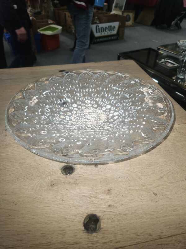 Coupe Lalique modèle Roskof