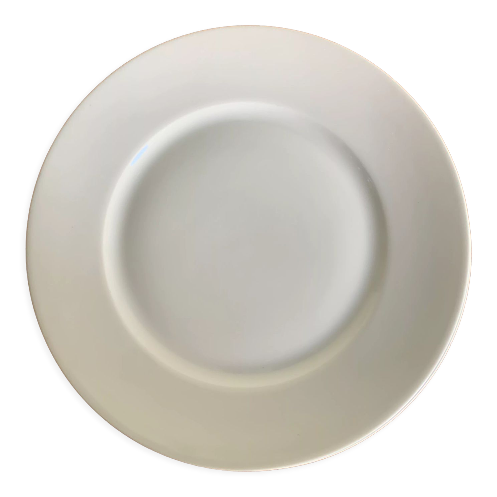 6 flat plates Limoges porcelain.
