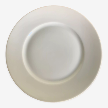 6 flat plates Limoges porcelain.
