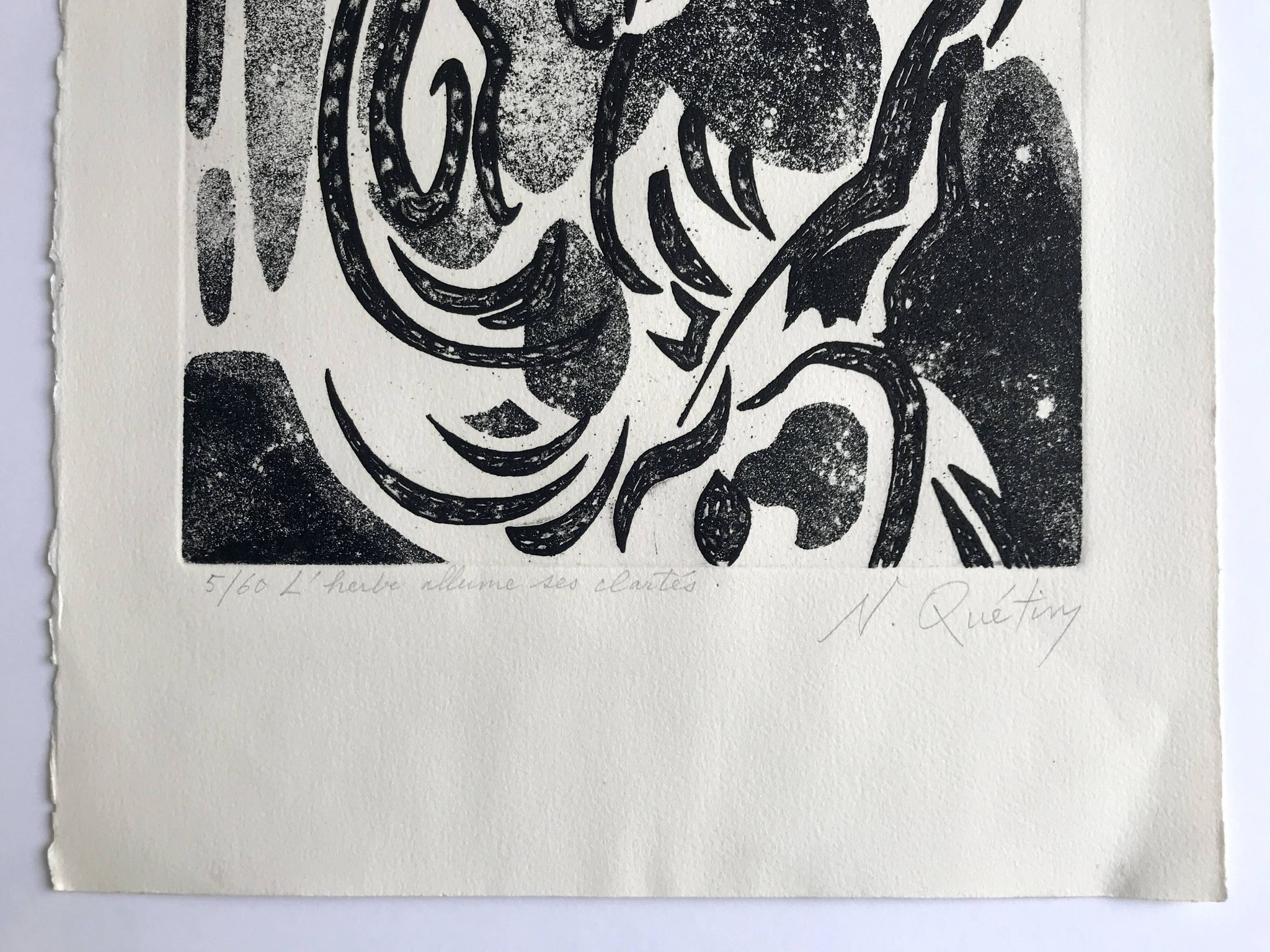 Nicole quétin, the grass lights up its lights, c. 1990. etching signed in pencil