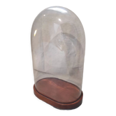 Old groom globe