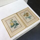 Pair of flower engravings by P.J. Redouté
