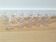 Set of 11 liqueur glasses