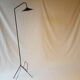 50's floor lamp