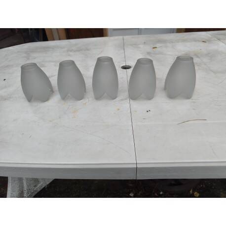 Set of 5 opaline glass tulips