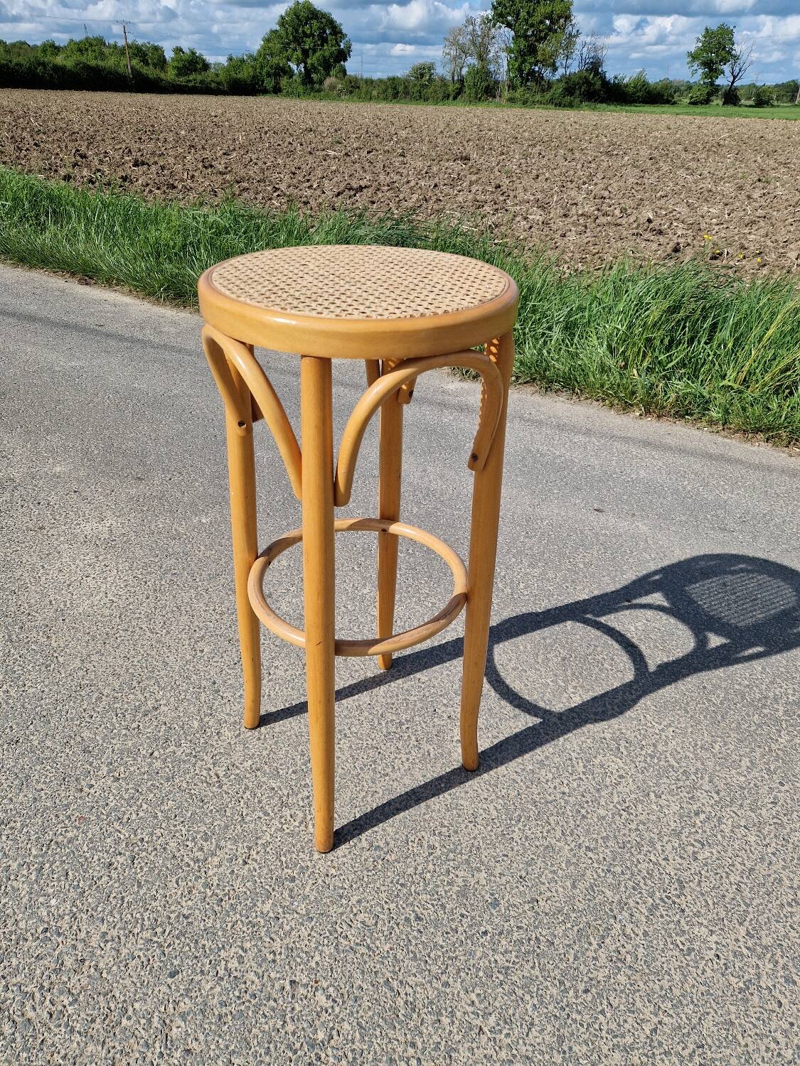 High bar stool in curved wood and cane