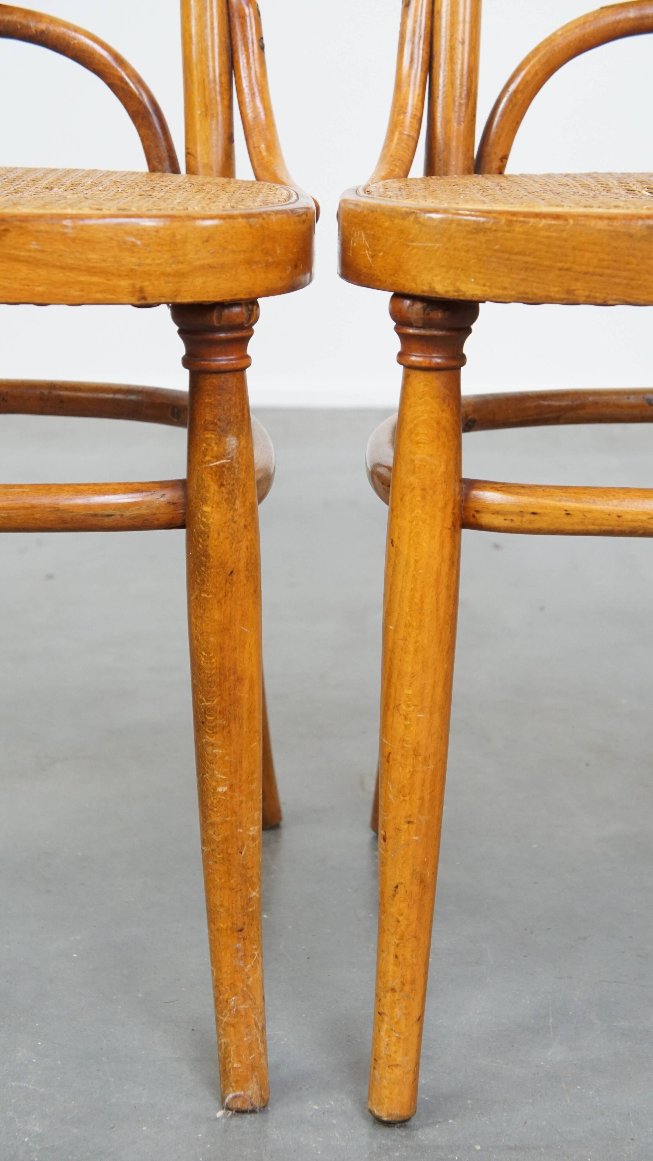 Set of 2 light brown bentwood Thonet style chairs model "Long John"