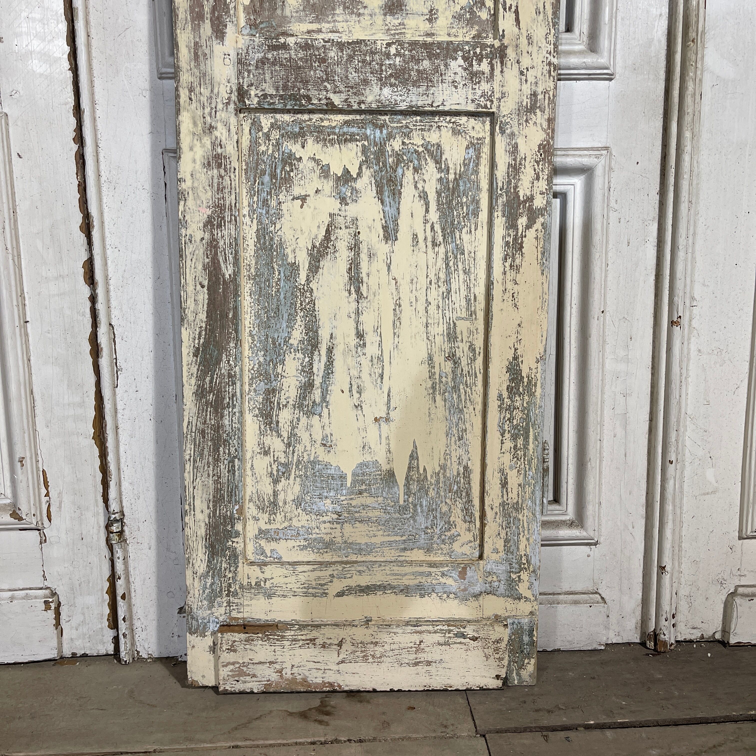 Old closet door 180 x 50