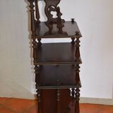Shelf , rosewood music locker