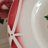 Service of 10 plates in Digoin earthenware