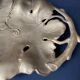 Bronze pocket trays vintage art nouveau vine leaves