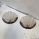 Pair of shell wall lights Art Deco 1930