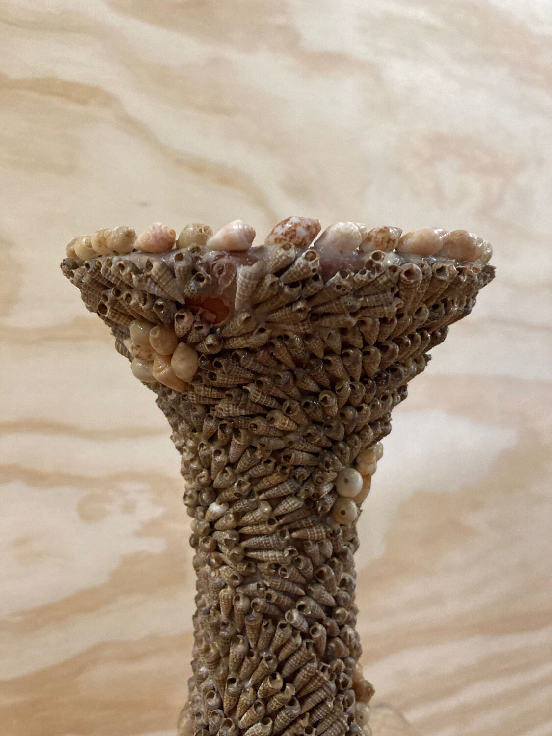 Vase coquillages vintage