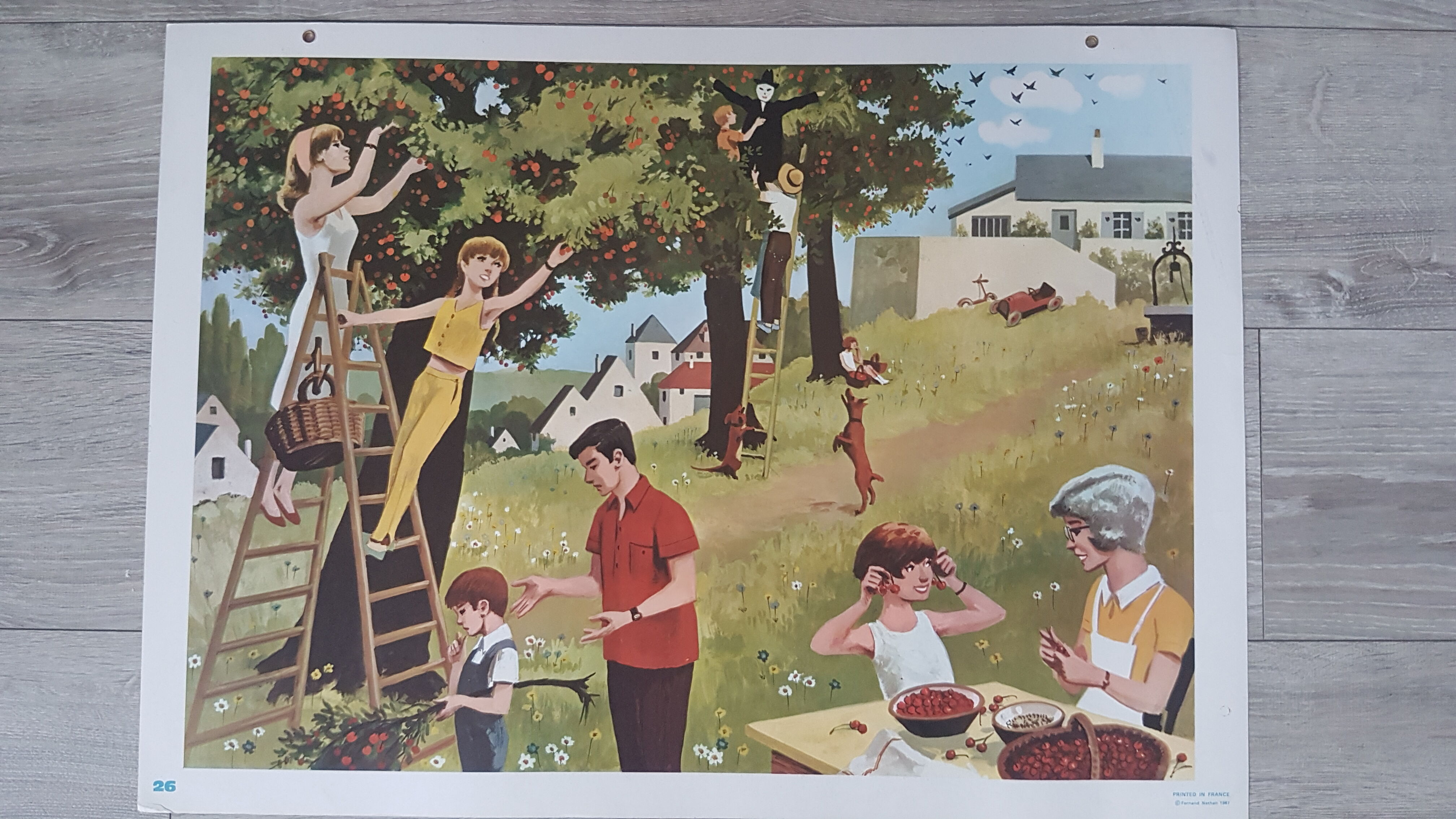 School posters scenes of life - fernand nathan 1967