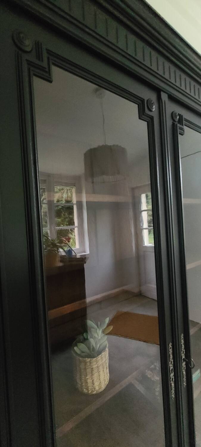 Old black Napoleon III display case, dresser, cabinet of curiosities, storage unit