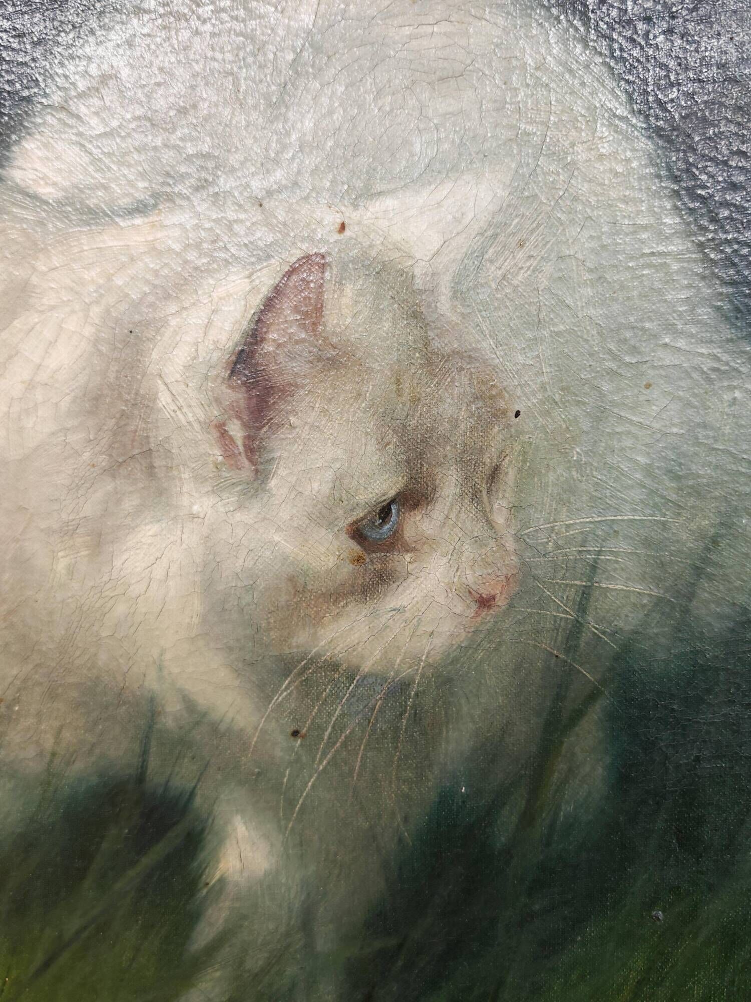 Cat in the garden, oil on canvas by Arthur Heyer, 1910s.