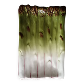 Asparagus barbotine dish