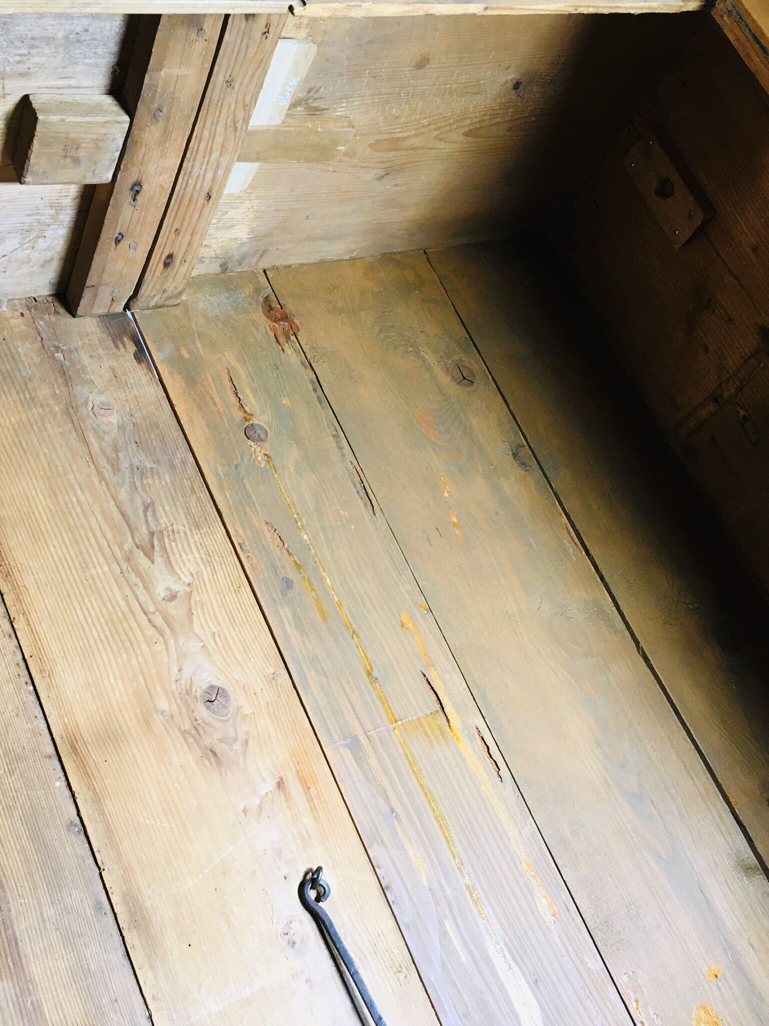 Painted Bavarian wardrobe, Germany 19th's