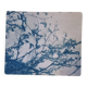 Cyanotype photographique