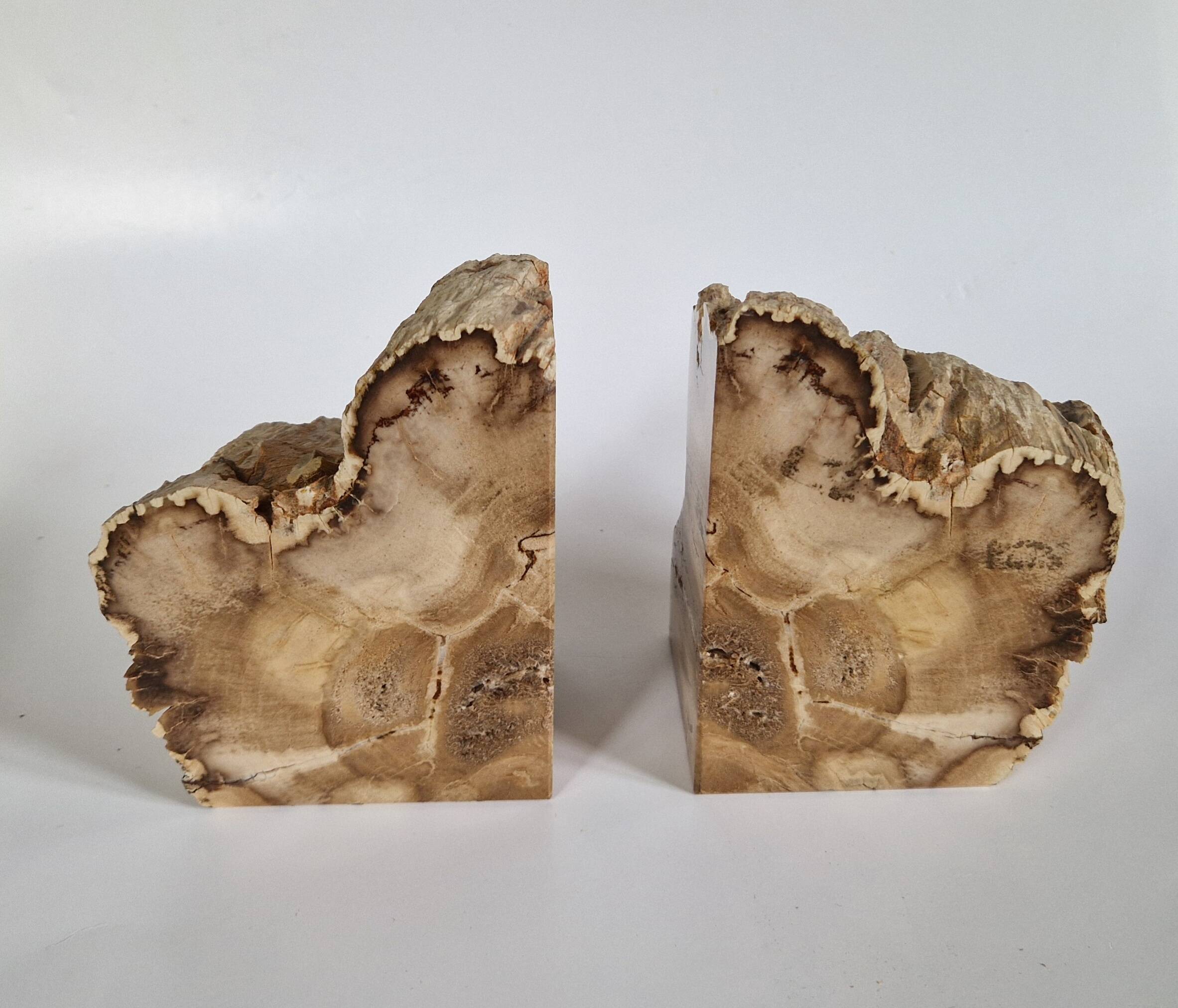 Pair of petrified wood bookends