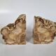 Pair of petrified wood bookends