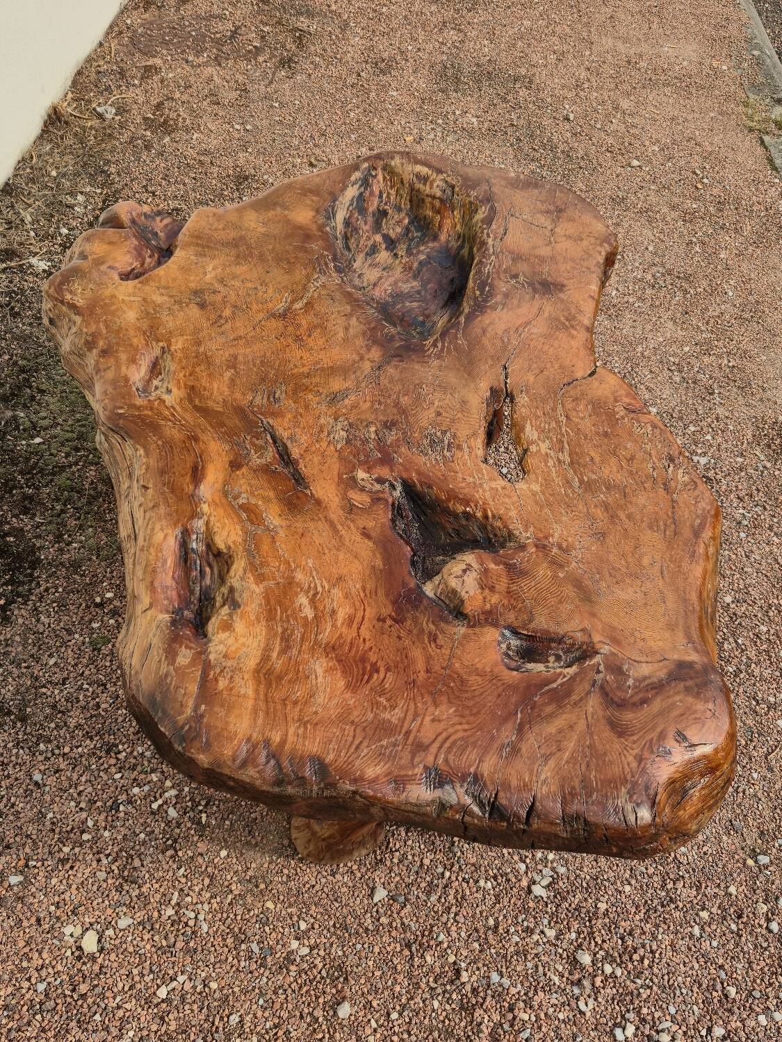 Brutalist coffee table made from solid elm tree trunk, 1950s