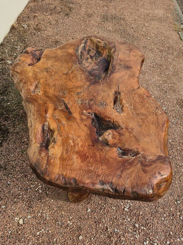 Table basse Brutaliste racine tronc d'arbre en Orme massif 1950s