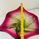 Coupe en verre