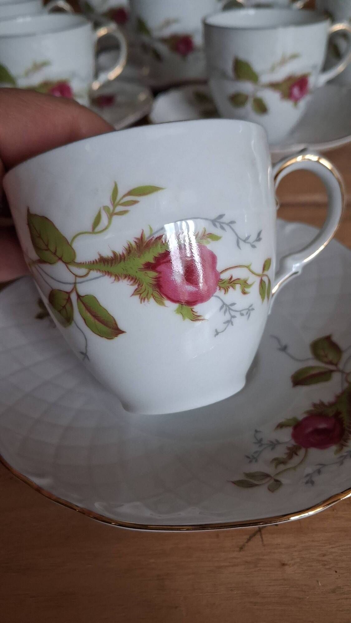 Coffee service "Briar Rose" Eschenbach