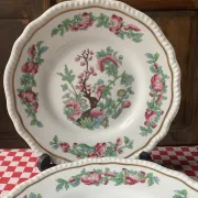 5 dessert plates Bernardaud Arbre des Indes anciennes