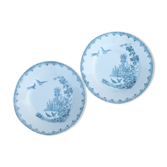 Duo of old plates in Iron Earth decorated with birds and butterflies