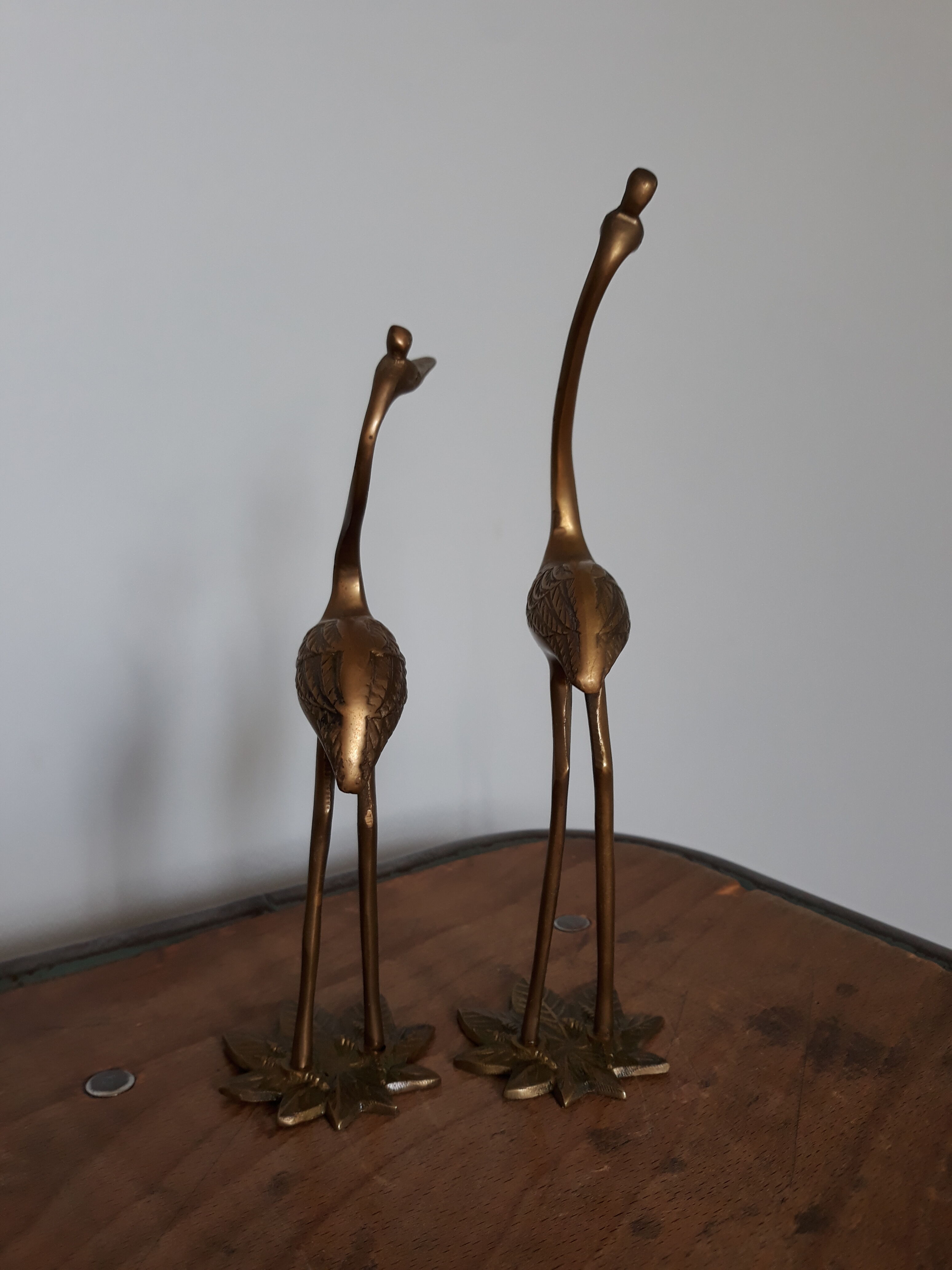 Herons or brass wader birds