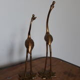 Herons or brass wader birds