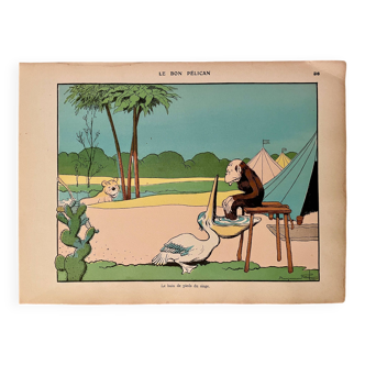 Ancienne illustration humoristique satirique animaux (singe pélican)- 1930