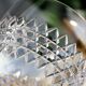 Pair of crystal water glasses from Baccarat model lucullus