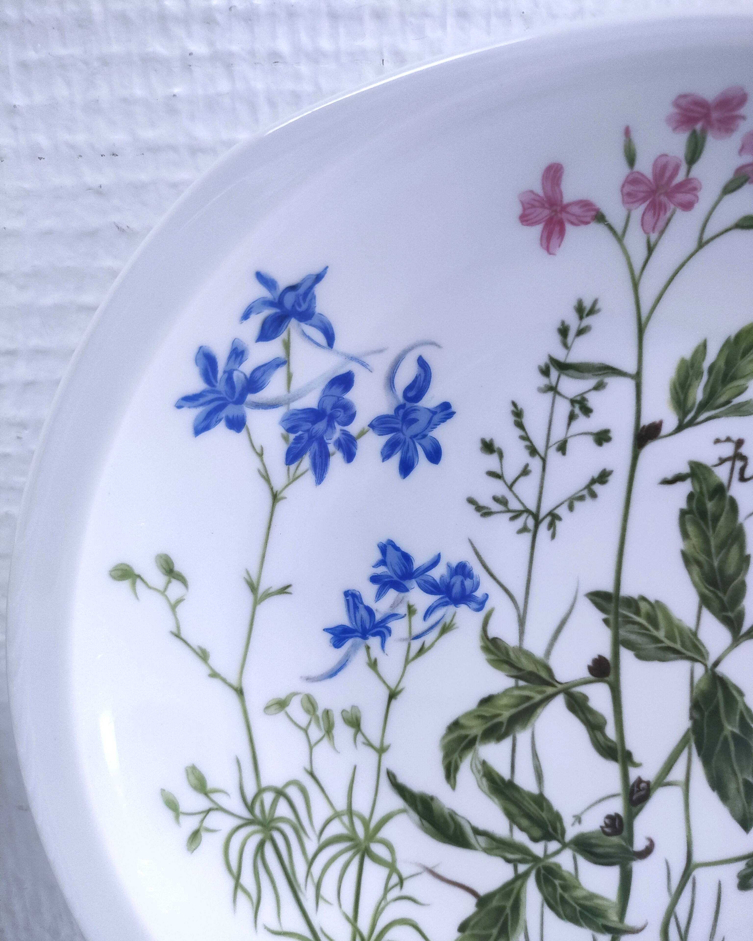 Eleven soup plates Alcée model porcelain Bernardaud Limoges floral decor